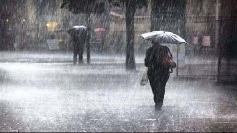 تساقط أمطار غزيرة مصحوبة بالبرق والرعد بالشرقية