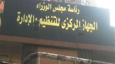 الحكومة توافق على تقاضي الموظف أجره كاملا بالوظيفة المراد تعيينه عليها