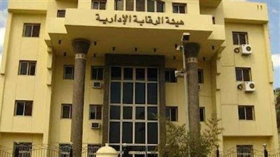 من رشوة «حي الدقي» لضربة «رئيس الجمارك».. «الرقابة الإدارية» مطرقة حديدية على رقاب الفاسدين