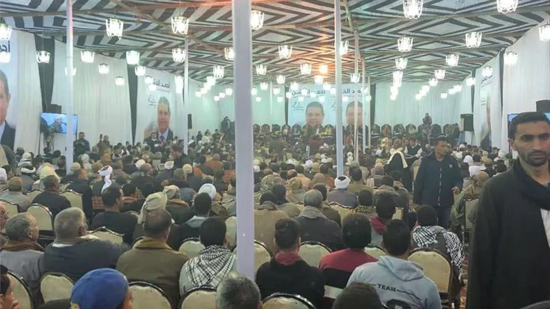 بالصور.. 