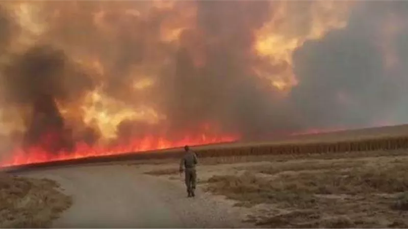 إندلاع 23 حريقًا في مستوطنات إسرائيلية بسبب «البالونات الفلسطينية»