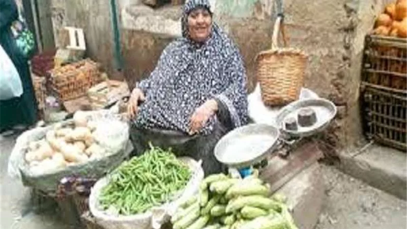 تضامن البحر الأحمر: استخراج بطاقات تأمين صحي للمرأة المعيلة