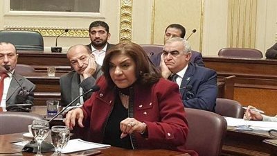 برلمانية: المرأة تعيش في أزهى عصورها ونطالب بالمزيد