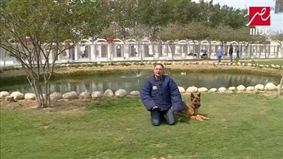 شريف عامر يعيش لحظات خطر حقيقية أثناء مواجهة كلاب شرسة