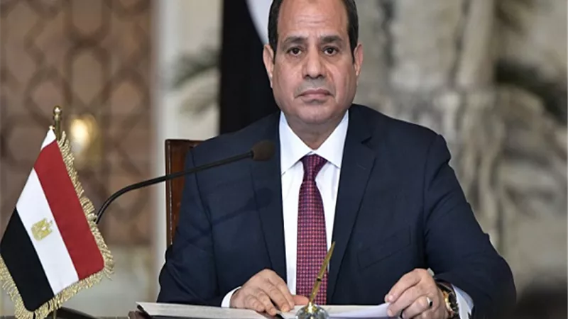 السيسي يستعرض محاور الاستراتيجية المستقبلية لقطاع البترول