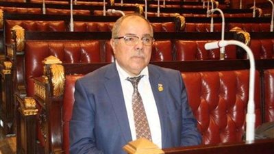 برلماني: قانون تجريم حيازة «الكلاب» على طاولة المجلس قريبًا