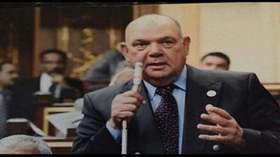 برلماني: الجماعات الإرهابية تحاول إسقاط الدولة المصرية