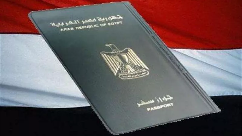 البرلمان يضع شروط «الجنسية المصرية».. 7 مليون جنيه الحل الأمثل