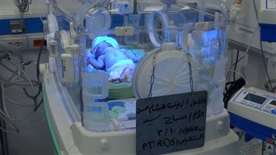 بالصور.. 