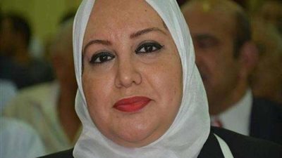 مذكرة برلمانية لـ«عشماوي» للنظر إلى المناطق المحرومة بالقلوبية