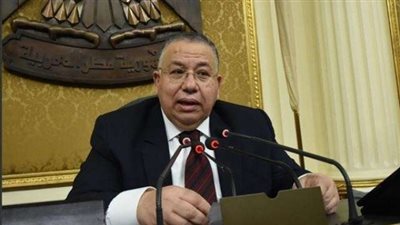 «وكيل البرلمان» القضية الفلسطينية هى قلب القضايا العربية ولن نعكف الدفاع عنها