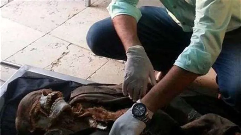 العثور على جثة ”معلمة” متحللة بشقتها في الاسماعيلية