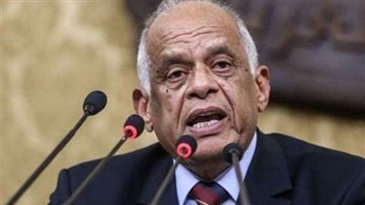 «عبدالعال»: قضية فلسطين ستظل قضية العرب الأولى