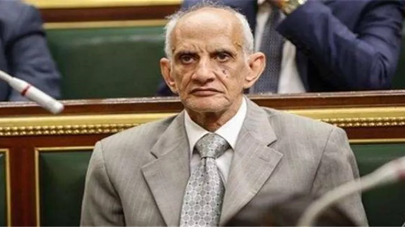 عضو «دفاع البرلمان» يُشيد بقرار وزير الداخلية بفتح مستشفيات الشرطة للمواطنين