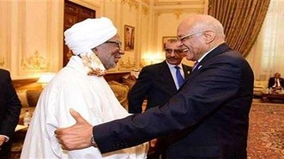 وكيل «إفريقية النواب»: برلمان وادي النيل دعوة لتقريب وجهات النظر