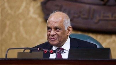 «رئيس لبرلمان»: نقدم حصاد المجلس للعام الثالث تقديرًا لشعبنا العظيم