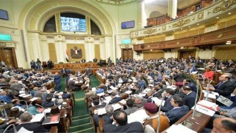 «حقوق البرلمان»... «مكوك» القوانين والزيارات في 10 أشهر