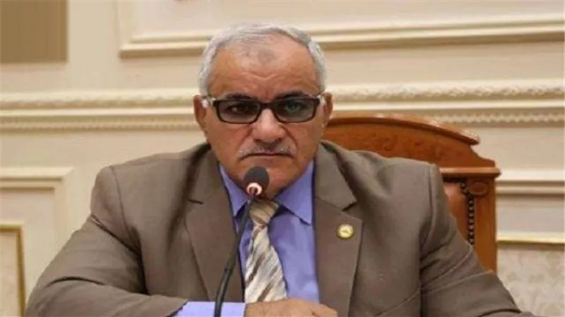 برلماني: الخلفية السياسية والحنكة أبرز سمات المحافظين الجدد