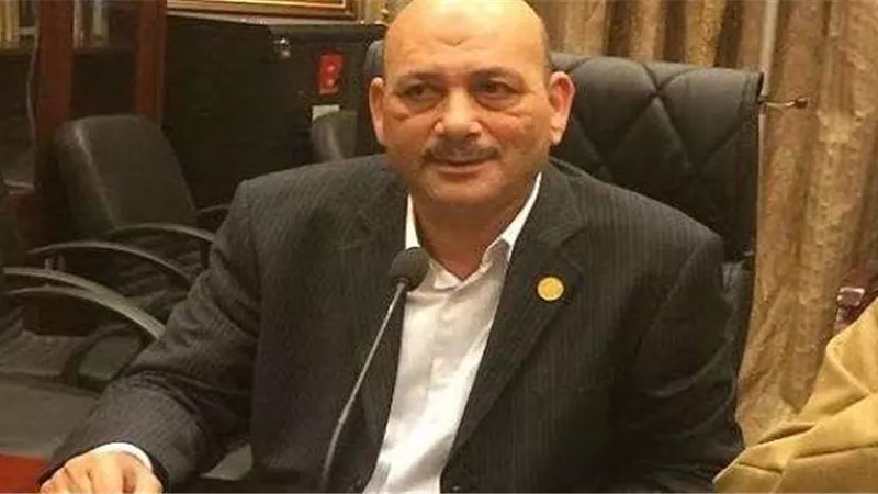 عضو «حقوق البرلمان»: شائعات المنظمات الأجنبية سلاح جديد للنيل من مصر