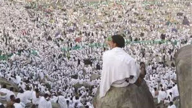 مفاجأة من السعودية للحجاج: «نت ببلاش»