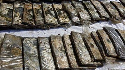ضبط نصف طن حشيش قبل ترويجه