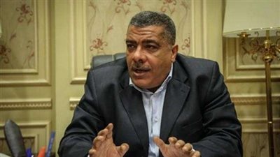 برلماني يكشف حقيقة إلغاء الدعم خلال العام الحالي