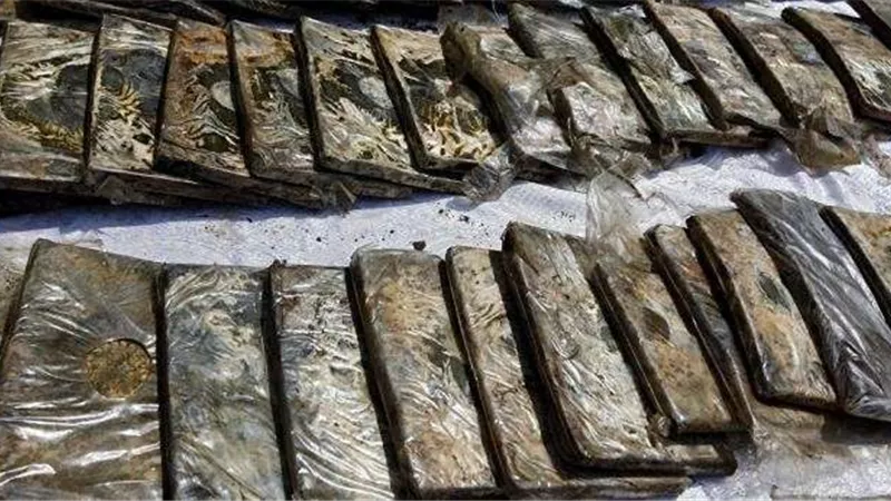 ضبط نصف طن حشيش قبل ترويجه
