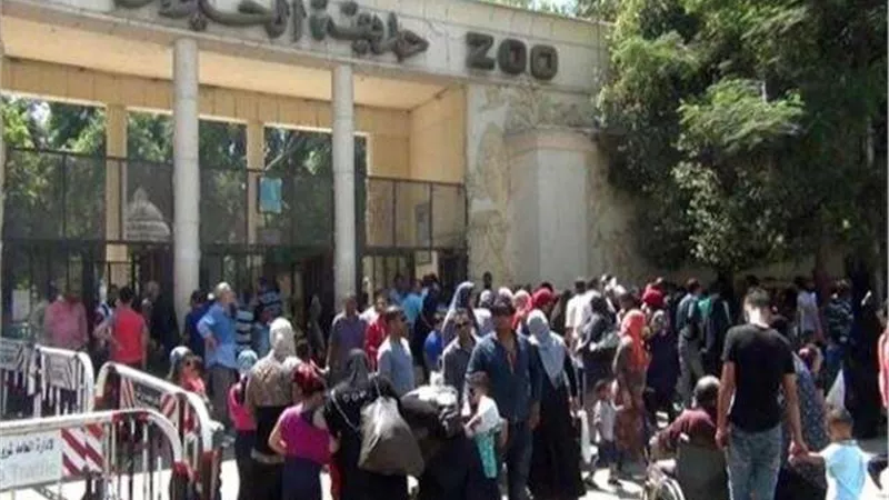برلماني يستنكر قرار رفع تذاكر  حدائق الحيوان: «غير مسئول»
