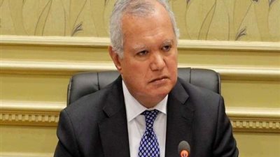 محمد العرابي: مصر إحدى الدول القادرة على جذب الاستثمار الخارجي