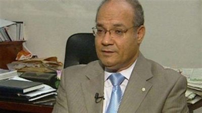 «اللاوندي» عن زيارة السيسي للبحرين: انفتاح على العالم