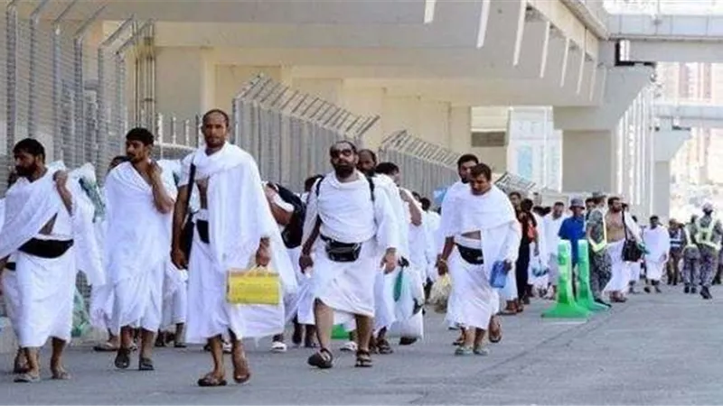 ارتفاع حصيلة وفيات الحجاج المصريين لـ59 حالة
