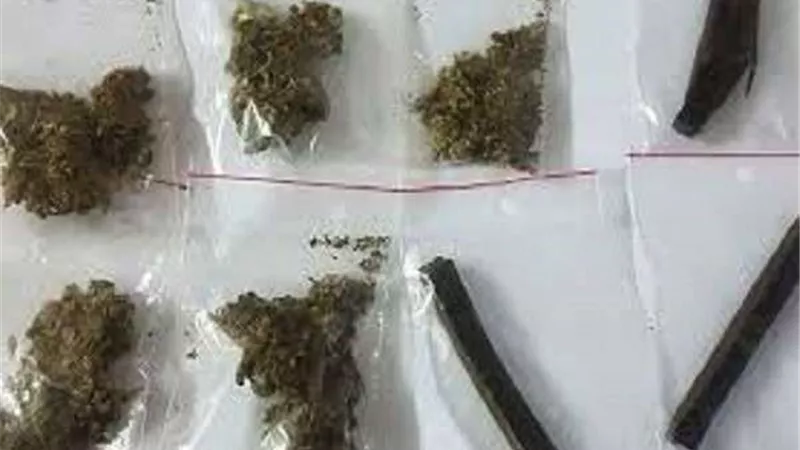 الحكومة تكشف مصير الموظفين الممتنعين عن إجراء تحاليل المخدرات