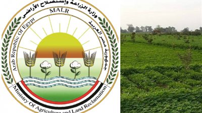 «الإصلاح الزراعي» تبدأ في استعادة أراضي المنفعة العامة