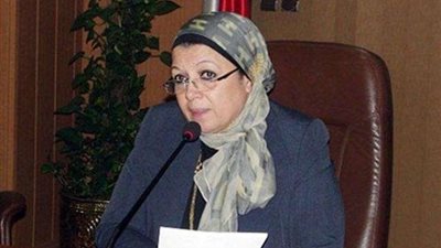 ماجدة نصر: التعليم ستنتهي من توصيل الانترنت للمدراس قبل بدء الدراسة