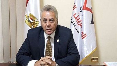 سلامة الجوهري: حل مشكلة خط الكهرباء بسنباط بزفتى