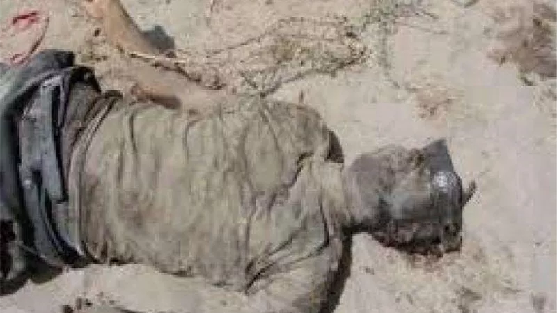 العثور على جثث مجهولة الهوية بقليوب