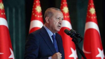 خبير استراتيجي: نهاية الإخوان مرهونة بزوال حكم أردوغان