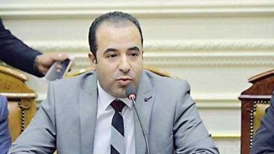 برلماني: «الحكومة» السبب في تأخر قانون تداول المعلومات