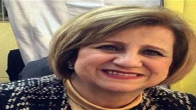 «خارجية البرلمان»: مصر دولة حرة ولا يجوز التدخل في شأنها الداخلي