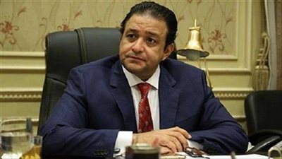 رد قوي على التقارير الدولية حول «إعدامات رابعة»