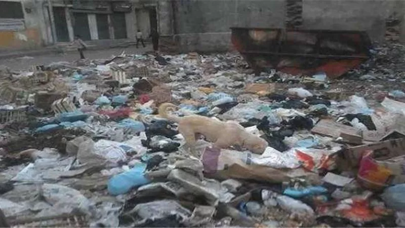 خبير تنمية محلية يضع روشتة مشكلة القمامة