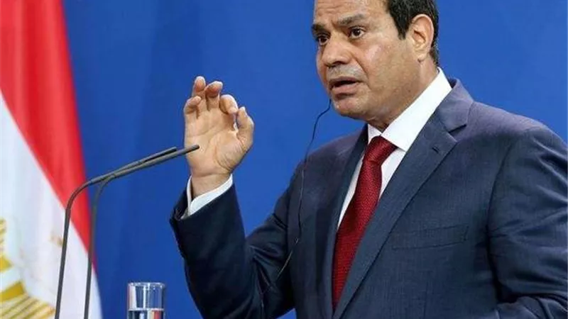السيسي يكلف بإزالة المخلفات والتعديات على نهر النيل
