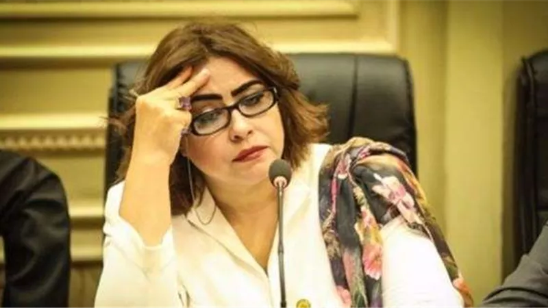 غادة عجمي: لجنة العلاقات الخارجية بالبرلمان نقلت حقيقة الإخوان للعالم