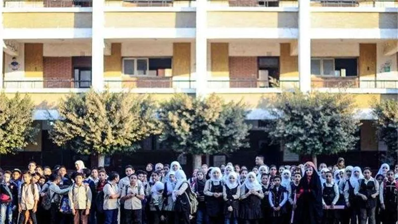 عضو بـ«تعليم النواب» يكشف حجم التلاعب بالمدارس