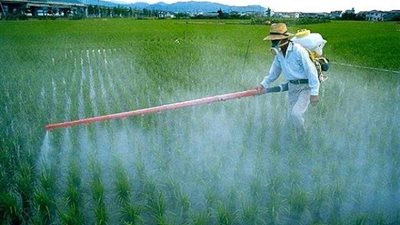 مصر تستهلك 10 آلاف طن مبيدات للأراضي الزراعية سنويًا