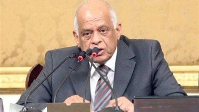 رئيس لجنة الشؤون العربية بالبرلمان يُلقي كلمة بالإنابة عن رئيس المجلس