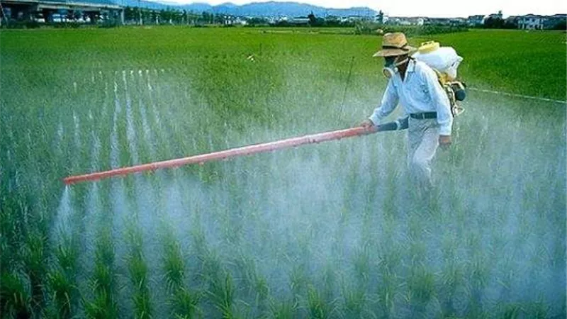 مصر تستهلك 10 آلاف طن مبيدات للأراضي الزراعية سنويًا