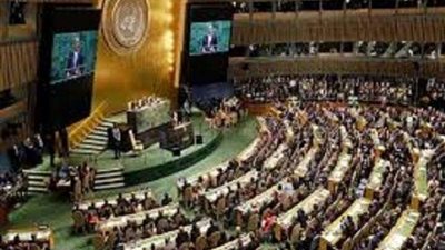 كيف تصدى الوفد المصرى للإخوان فى الأمم المتحدة؟
