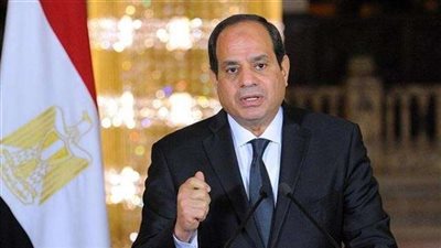 اليوم.. السيسي يستقبل المستشار الفيدرالي للنمسا