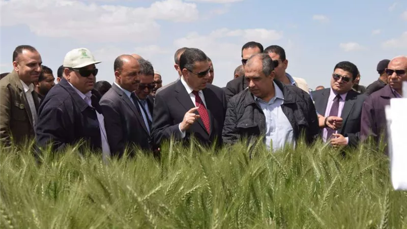 محافظ بني سويف يؤكد على أهمية مراكز البحوث الزراعية في مجال التدريب العملي